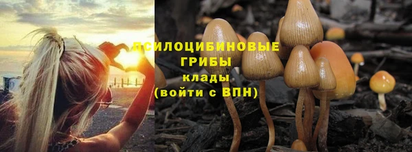 мескалин Аркадак