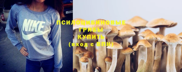 гидра Алзамай