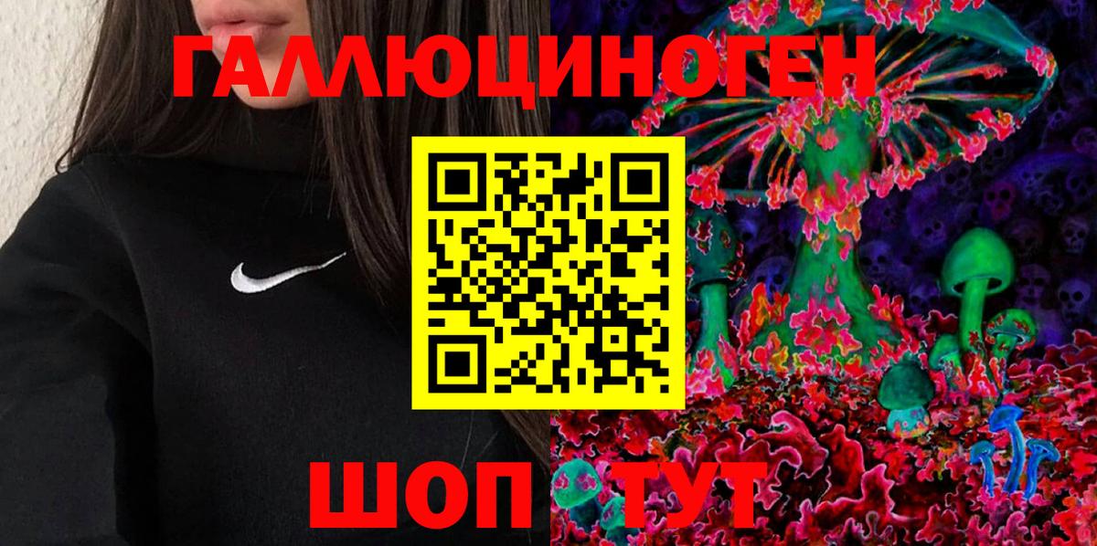 Галлюциногенные грибы мухоморы Карачаевск