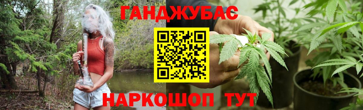 Бошки марихуана план Карачаевск